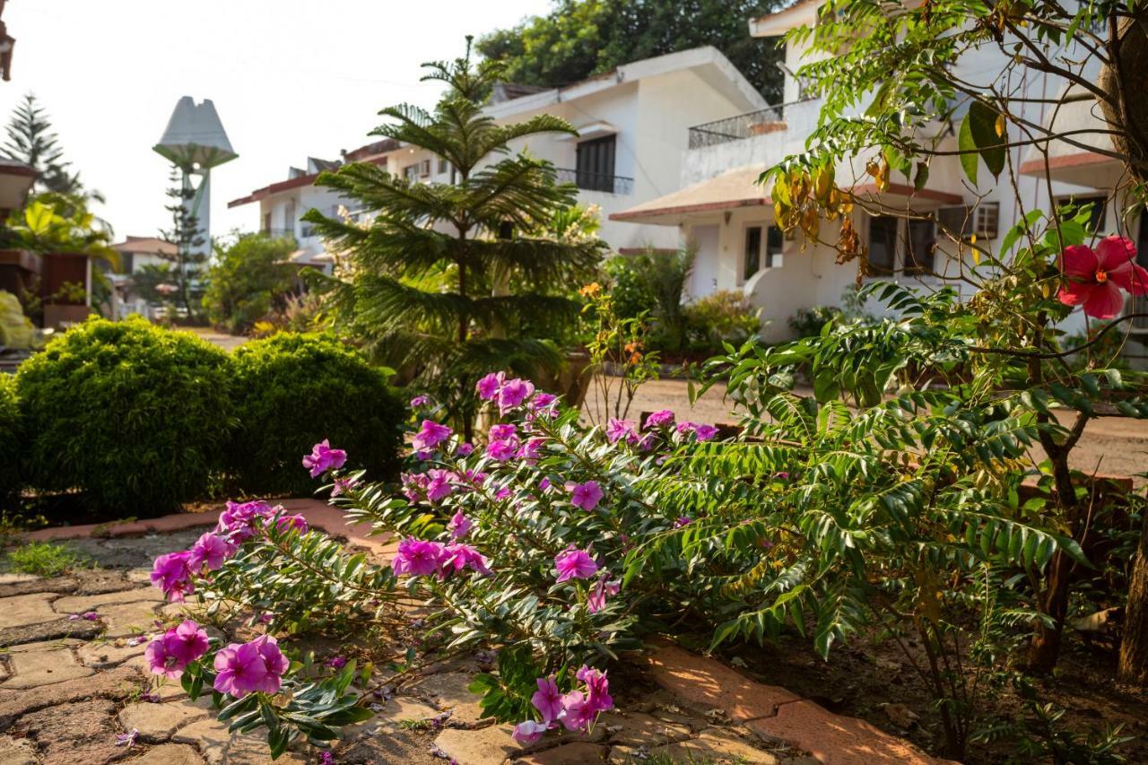 Aspirealconvilla-2Bhk-Beachtouch-坎多林 外观 照片